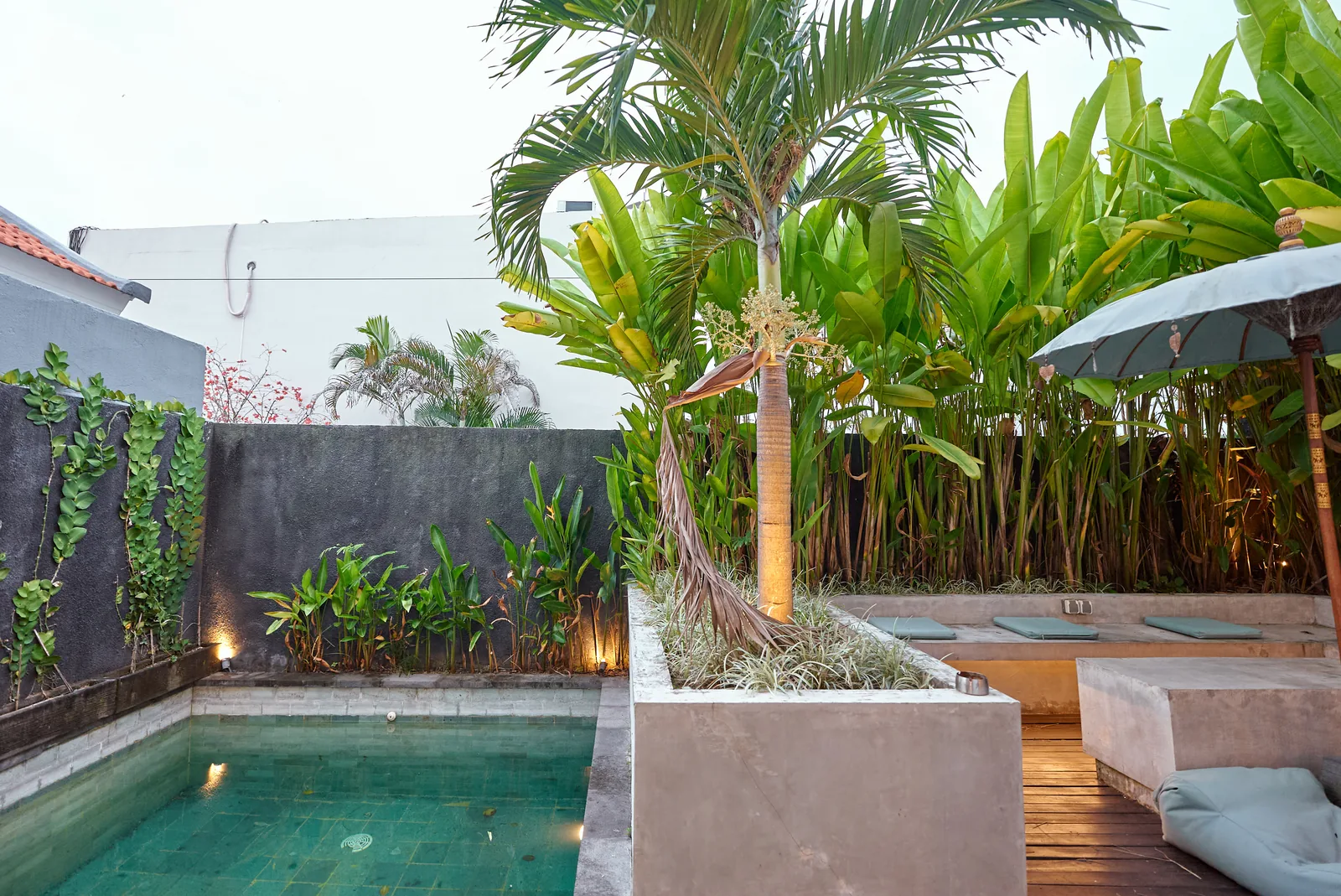 Octo 6 private pool and tropical garden